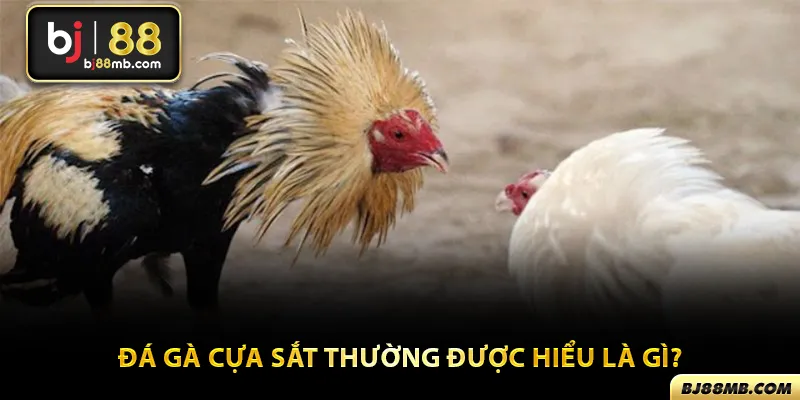 Chọi chiến kê cựa sắt là sảnh cược được ưa chuộng nhất tại BJ88