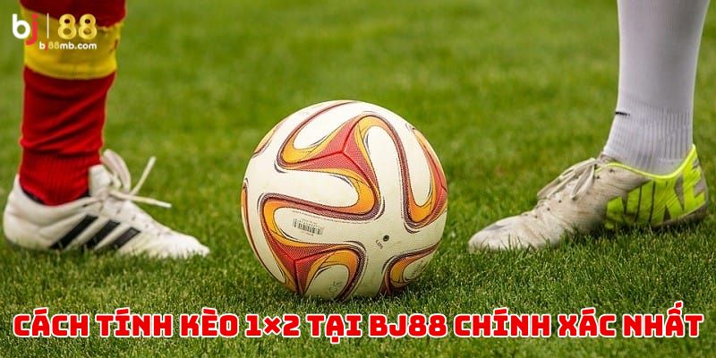 Cách tính kèo 1/2 tại sân chơi BJ88 chuẩn xác nhất